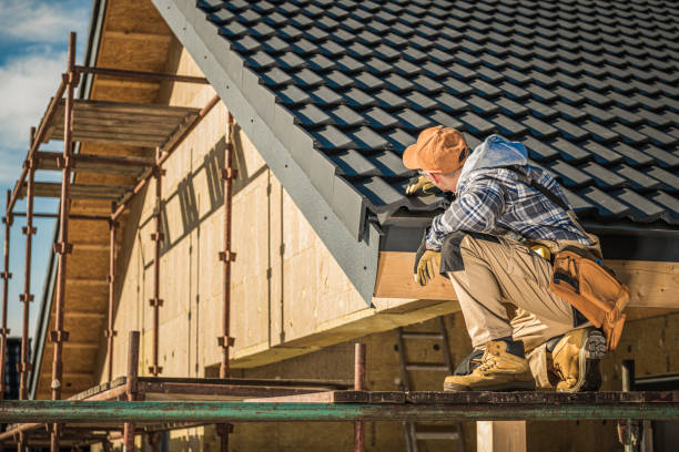 Best Metal Roofing Contractor  in Park River, ND