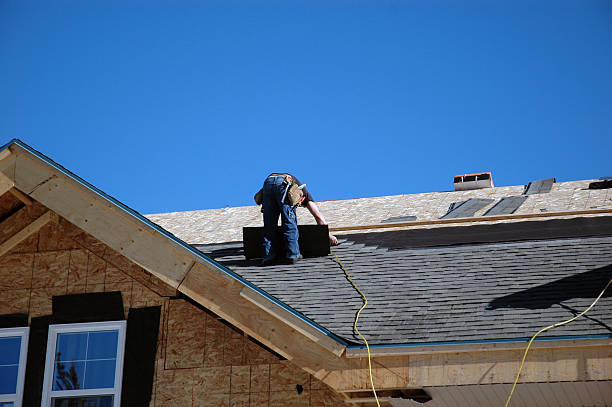 Best Roof Gutter Cleaning  in Park River, ND