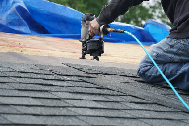 Best Best Roofing Contractors  in Park River, ND