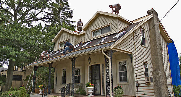 Quick and Trustworthy Emergency Roof Repair Services in Park River, ND