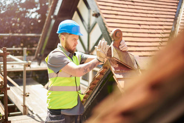 Best Storm Damage Roof Repair  in Park River, ND