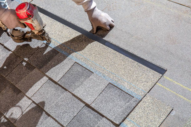 Best Commercial Roofing Services  in Park River, ND