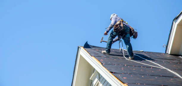Best New Roof Installation  in Park River, ND